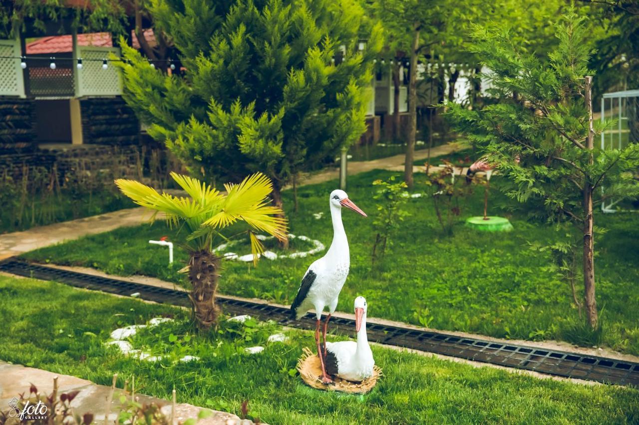 Su Sesi Hotel&Restorant Goygol Bagian luar foto